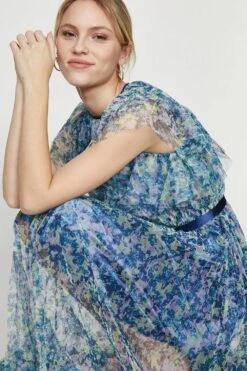 Coast Mesh Printed Dress With Pleated Skirt