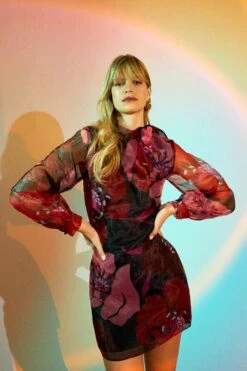 Coast Pussy Bow Long Sleeve Floral Organza Dress