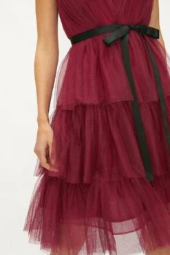 Coast Mesh Tiered Mini Dress -Coast acc02173 berry xl 1