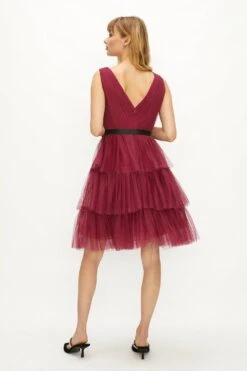 Coast Mesh Tiered Mini Dress -Coast acc02173 berry xl 2