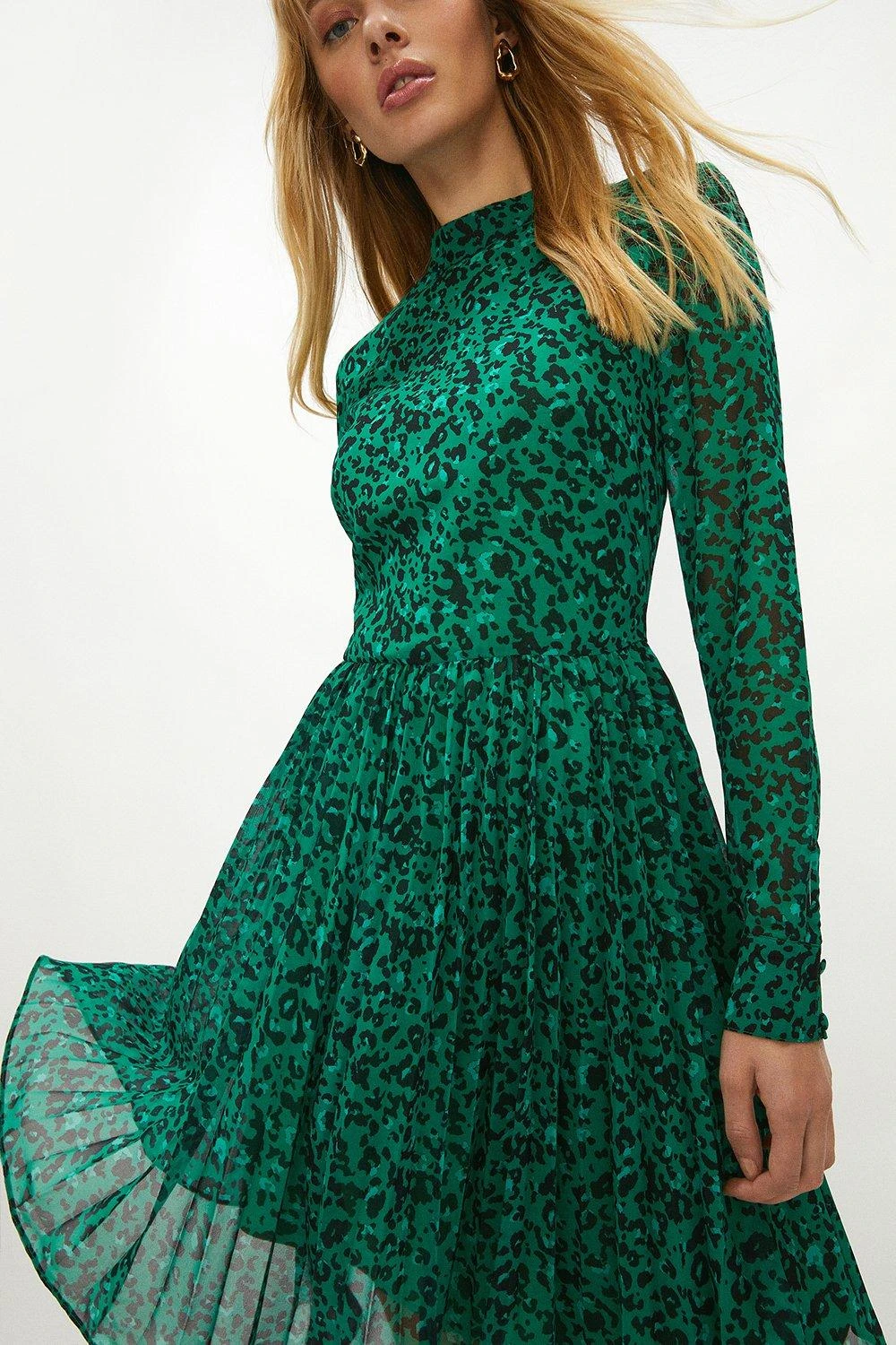 Coast Pleat Skirt Printed Midi Dress 4 Coast Pleat Skirt Printed Midi Dress - Image 4