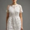 Coast Premium Embroidered Organza Mini Dress