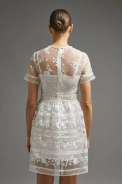 Coast Premium Embroidered Organza Mini Dress -Coast acc03505 ivory xl 2
