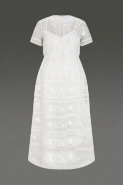 Coast Premium Embroidered Organza Mini Dress -Coast acc03505 ivory xl 3