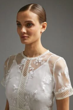 Coast Premium Embroidered Organza Mini Dress -Coast acc03505 ivory xl 5