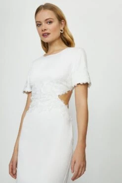 Coast Cut Out Lace Detail Midi Dress