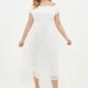 Coast Plus Size Embroidered Midi Dress