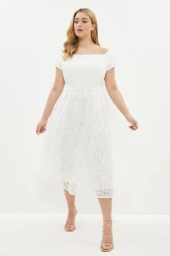 Coast Plus Size Embroidered Midi Dress
