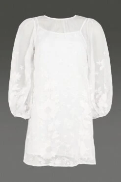 Coast Embroidered Border Organza Full Sleeve​ Mini -Coast bcc00349 ivory xl 3 1