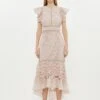 Coast Organza Hem And Sleeve Lace Dress