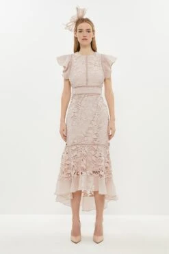 Coast Organza Hem And Sleeve Lace Dress