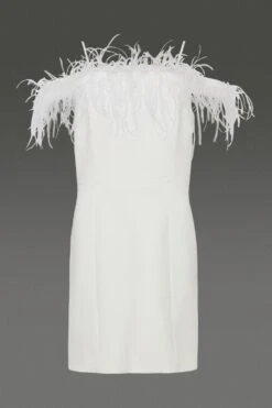 Coast Feather Trim Bardot Mini Dress -Coast bcc01126 ivory xl 5