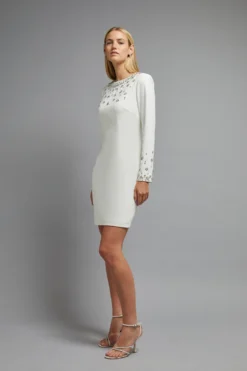 Coast Premium Embellished Pencil Dress 13 Coast Premium Embellished Pencil Dress -Coast bcc01188 ivory xl 1 scaled
