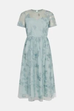 Coast 3d Embroidered Butterfly Mesh Midi Dress -Coast bcc01346 cornflower20blue xl 3