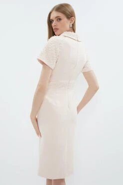 Coast Premium Embellished Roll Collar Pencil Dress -Coast bcc01789 blush xl 2