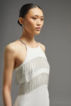 Coast Premium Crystal Fringe Detail Midi Dress -Coast bcc01863 ivory xl 5