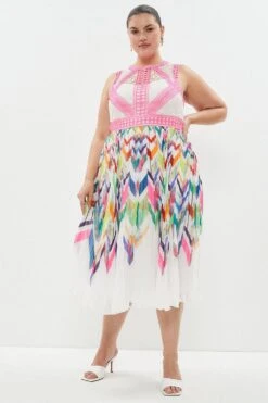 Coast Plus Size Nick Grindrod Print Trim Midi Dress