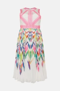 Coast Plus Size Nick Grindrod Print Trim Midi Dress -Coast bcc02064 multi xl 3