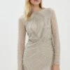 Coast Premium Embellished Mini Dress
