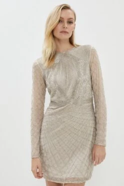 Coast Premium Embellished Mini Dress
