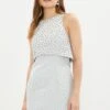 Coast Overlay Embellished Jacquard Mini Dress