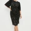 Coast Plus Size Lace Flare Sleeve Pencil Dress