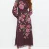 Coast Alexandra Gallagher Floral Embroidered Midi Dress