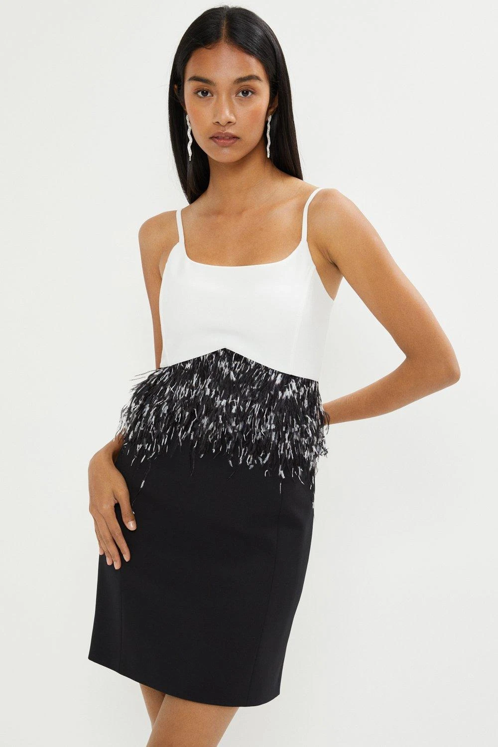 Coast Premium Feather Trim Mini Dress 1 Coast Premium Feather Trim Mini Dress