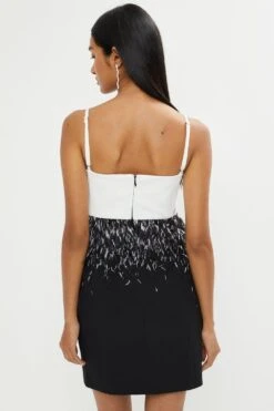 Coast Premium Feather Trim Mini Dress 6 Coast Premium Feather Trim Mini Dress -Coast bcc02875 mono xl 2