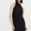 Coast Premium Lace Feather Hem Halter Neck Mini Dress