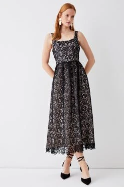 Coast Lace Panelled Bodice Full Skirt Midi Dress