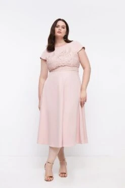 Coast Plus Size Lace Dress With Circular Skirt