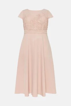 Coast Plus Size Lace Dress With Circular Skirt -Coast bcc03296 blush xl 3
