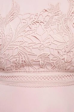 Coast Plus Size Lace Dress With Circular Skirt -Coast bcc03296 blush xl 5