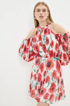 Coast Cold Shoulder Pleated Chiffon Mini Dress