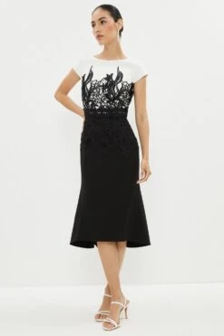 Coast Lace Dress With Crepe