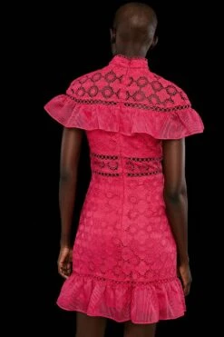 Coast Premium Panelled Lace Organza Trim Mini Dress -Coast bcc03553 hot20pink xl 2