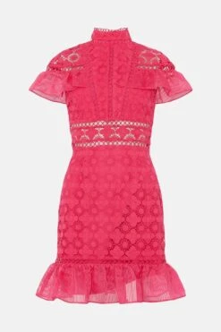 Coast Premium Panelled Lace Organza Trim Mini Dress -Coast bcc03553 hot20pink xl 3