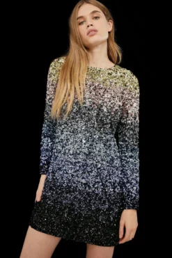 Coast Premium Ombre Hand Embellished Dress