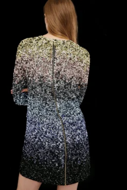 Coast Premium Ombre Hand Embellished Dress -Coast bcc03923 multi xl 2 scaled