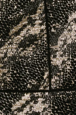 Coast Julie Kuyath Jacquard Mini Dress -Coast bcc03965 gold xl 4 scaled