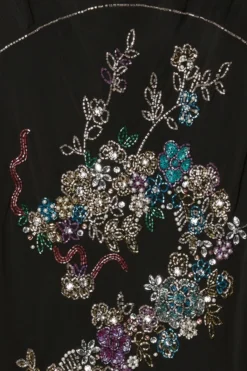 Coast Julie Kuyath Embellished Dragon Corset Slip Dress -Coast bcc03970 black xl 5 scaled