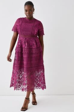Coast Plus Lace Mix Midi Dress