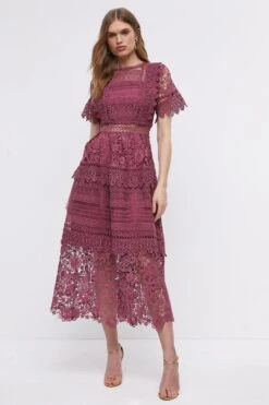 Coast Lace Mix Midi Dress