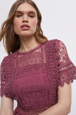 Coast Lace Mix Midi Dress -Coast bcc03999 rose xl 2