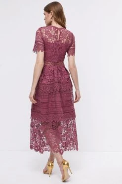 Coast Lace Mix Midi Dress -Coast bcc03999 rose xl 4