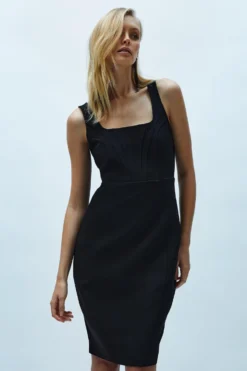 Coast Panelled Bodice Midi Pencil Dress