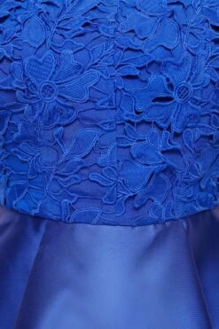 Coast Lace Corset Top Twill Full Skirt Midi Dress -Coast bcc04188 cobalt xl 5
