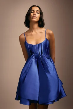 Coast Julie Kuyath Boned Bodice Bow Front Mini Dress