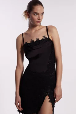 Coast Premium Corset Lace Mini Dress